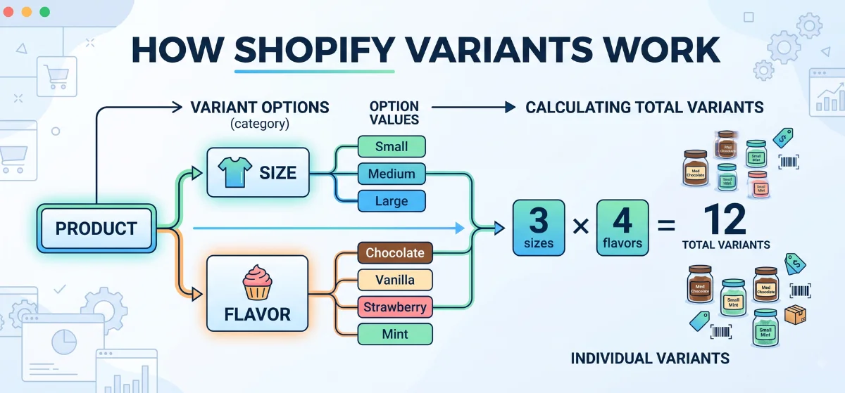 How Shopify Sizes Flavors and Variants Work